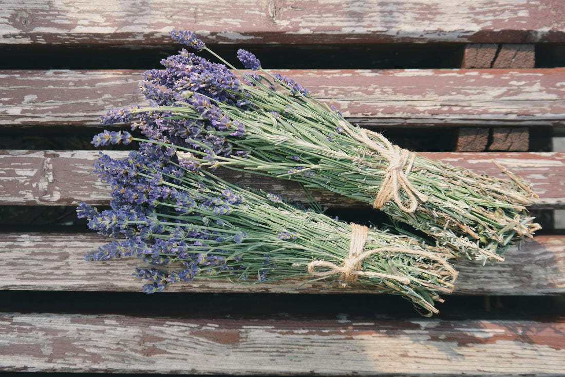 Discover the Top Benefits of Lavender Essential Oil for Hair